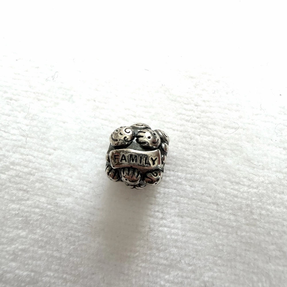 PANDORA, Authentic, One owner, Gently Used. “Family” Charm.